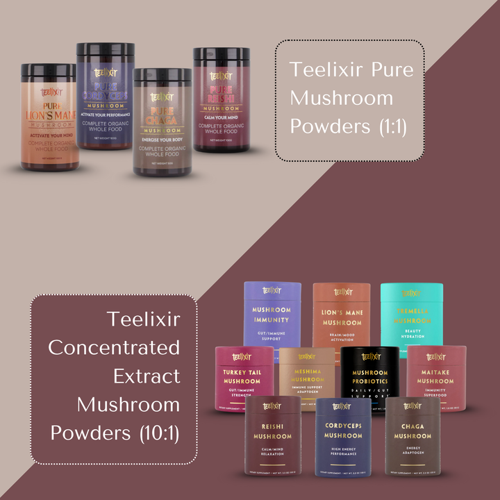 Teelixir Organic Reishi Mushroom (10:1)