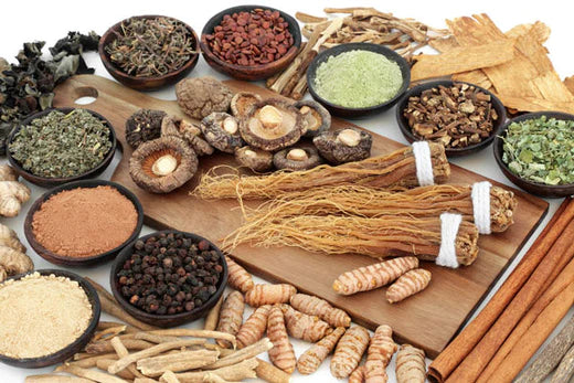 What Are Adaptogenic Herbs?