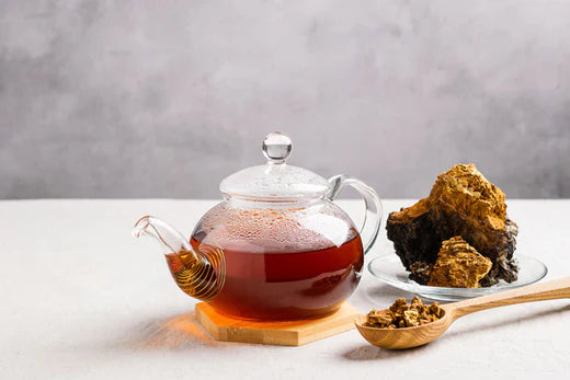 Chaga Mushroom Tea Explained