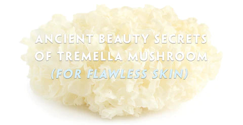 Tremella Mushroom | Possessing Ancient Beauty Secrets