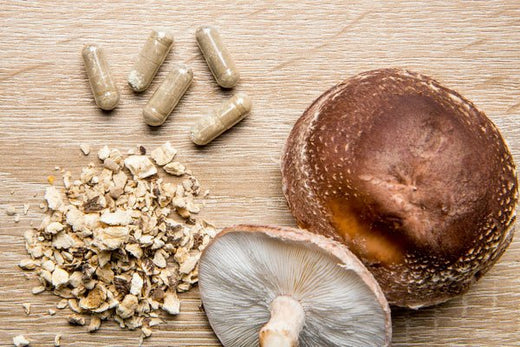 How to Find the Best Quality Mushroom Products