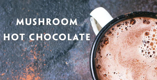 Medicinal Mushroom Hot Chocolate Recipe