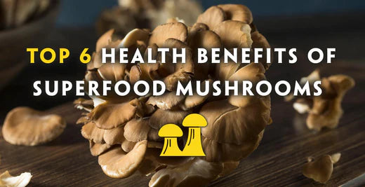 Discover the Top 6 Health Benefits of Medicinal Mushrooms