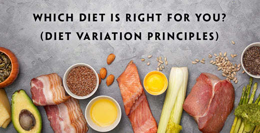 Which Diet is Right For You in 2023? (Diet Variation Principles)