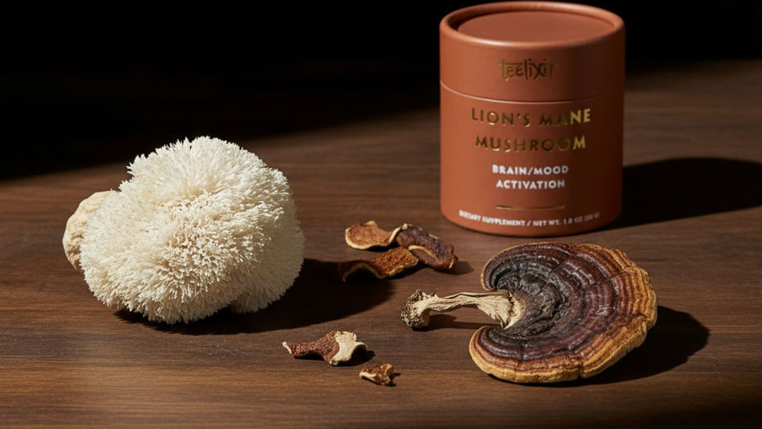 Lion's Mane and Turkey Tail: Brain Support Meets Immune Defence