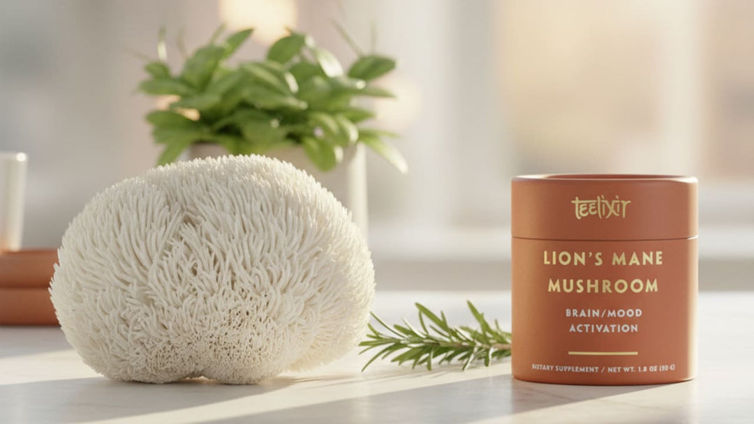 Lion’s Mane Mushroom | Boosting Brain Health And Efficiency