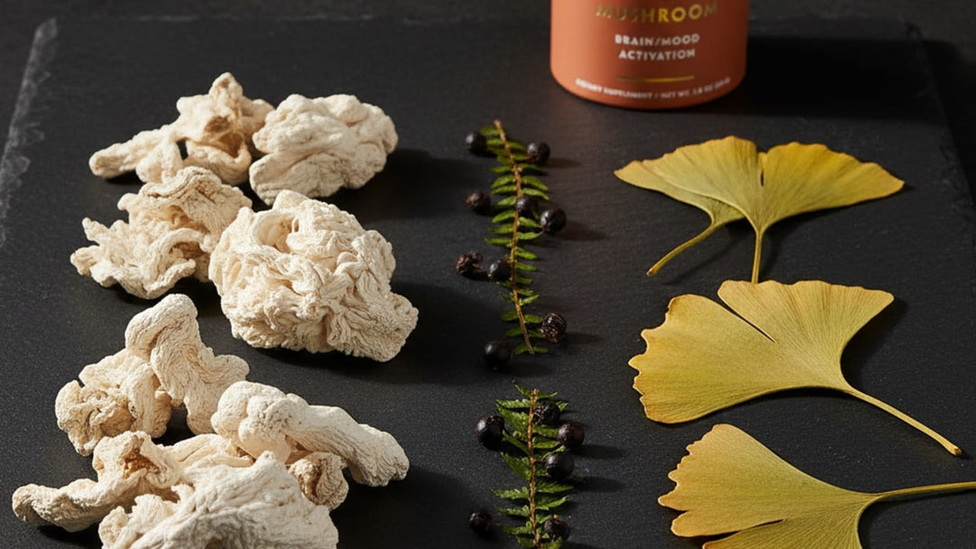 Lion's Mane vs Ginkgo Biloba: Neurogenesis or Cerebral Blood Flow?