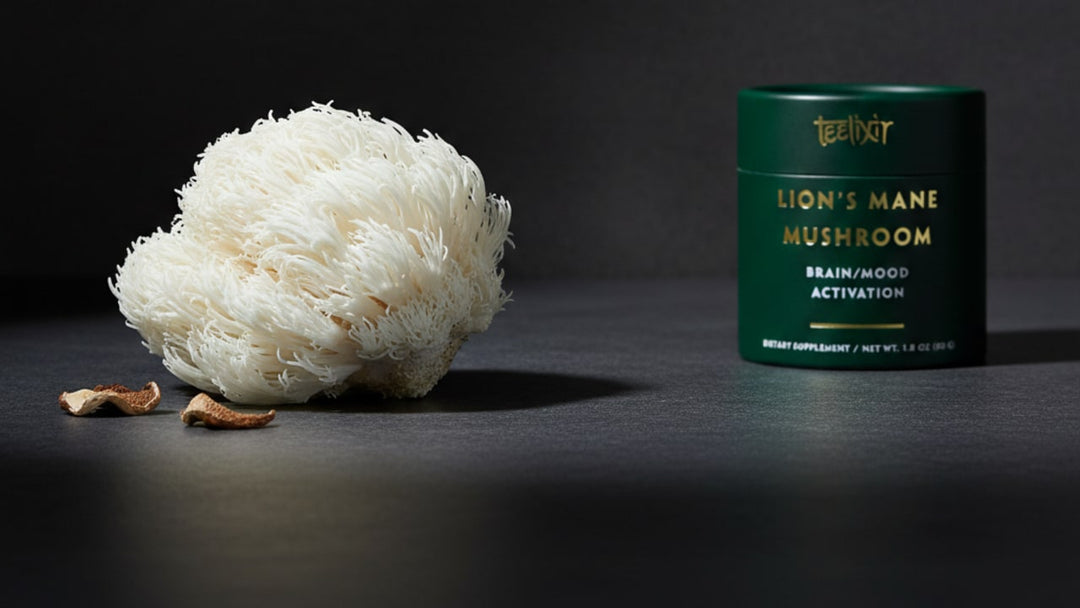 Lion's Mane vs Piracetam: Natural Nootropic or Synthetic Racetam?