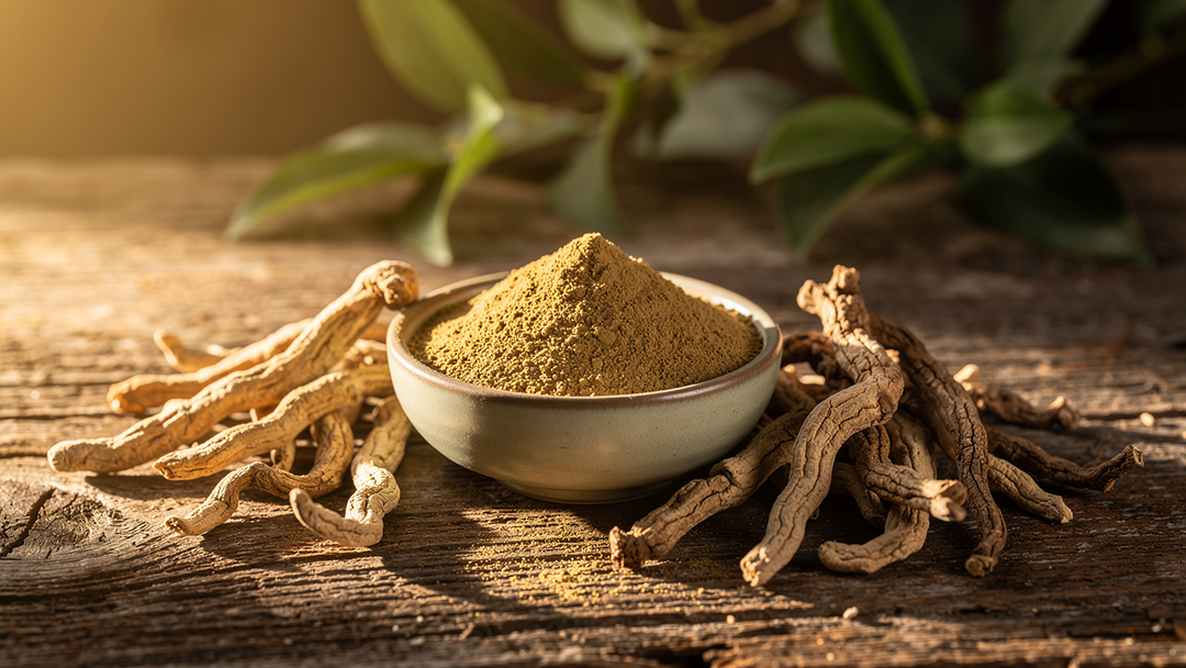 Ashwagandha root and powder — the complete evidence-based guide