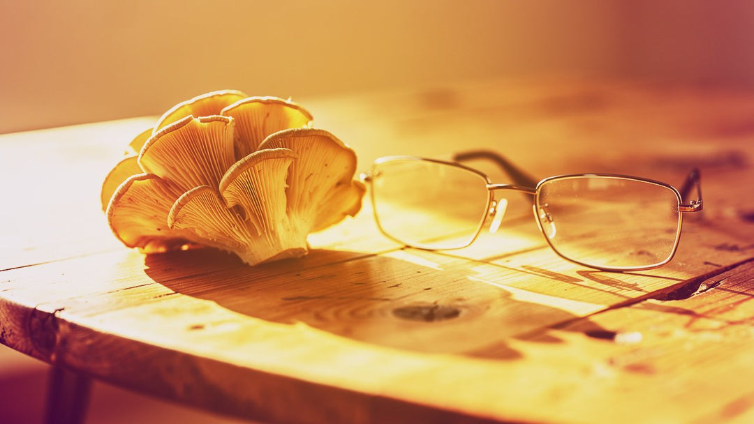 Lion's mane mushroom alongside reading glasses on a wooden desk in warm terracotta light