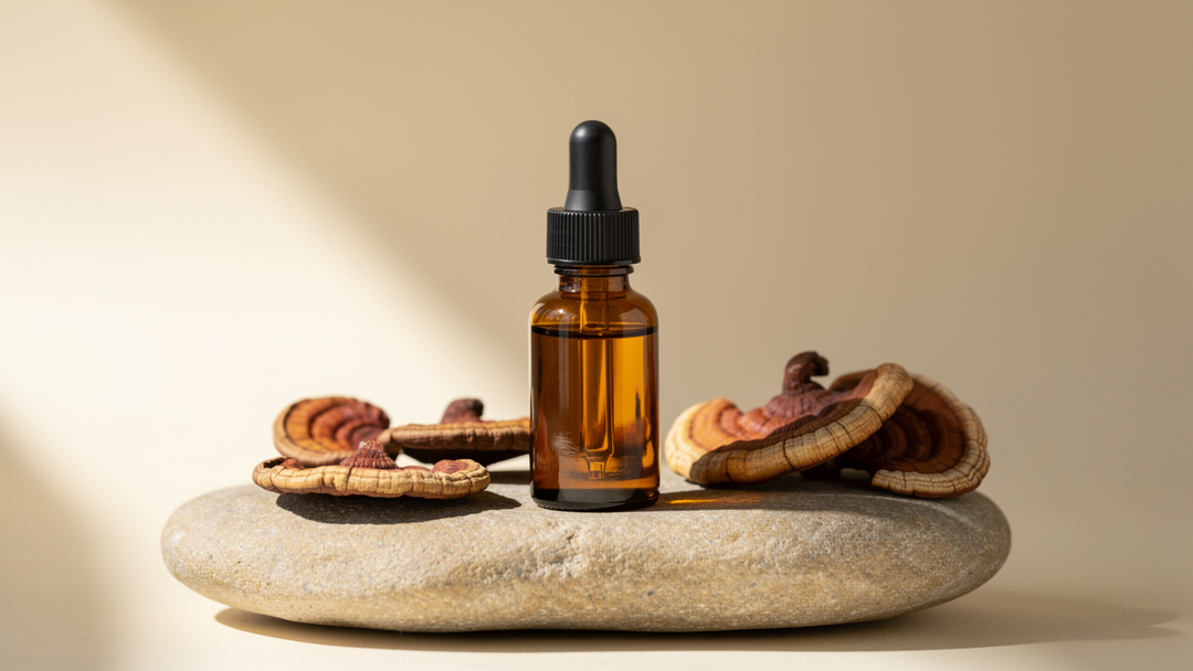 Reishi mushroom extract in glass dropper on stone, safety research article