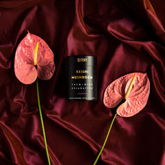 Teelixir Reishi Mushroom Extract - Lifestyle