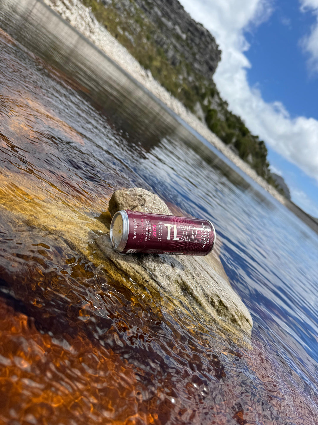 TLXR Sparkling Mushroom Elixir - Rose