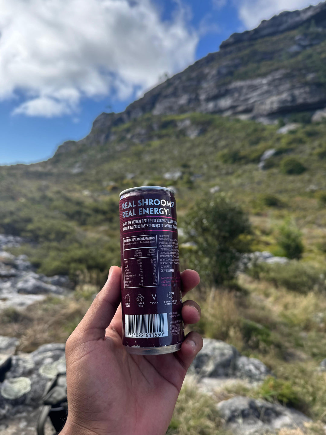 TLXR Sparkling Mushroom Elixir - Rose