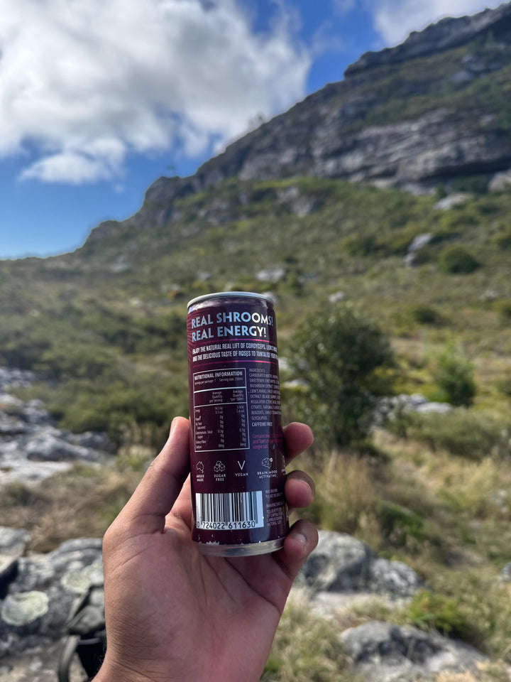 TLXR Sparkling Mushroom Elixir - Rose