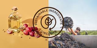 Teelixir Organic Resveratrol - product detail