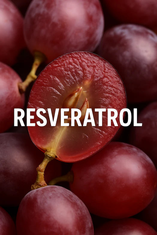 Teelixir Organic Resveratrol - close up